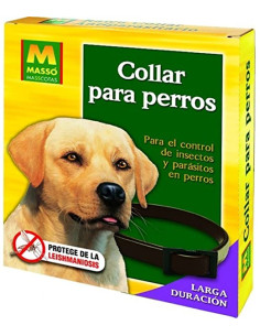 COLLAR PARA PERROS MASSO