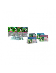 ADVANTIX SPOT-ON PERROS 4 PPTS (25-40 KG) 4,0 ML