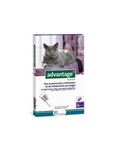 ADVANTAGE80 GATOS (+ 4 KG) (4 PPTS)