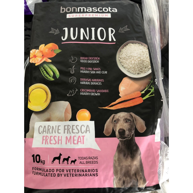 BONMASCOTA JUNIOR