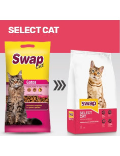 SWAP SELECT CAT