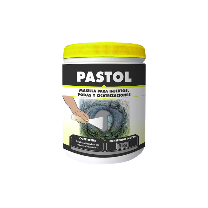 PASTOL